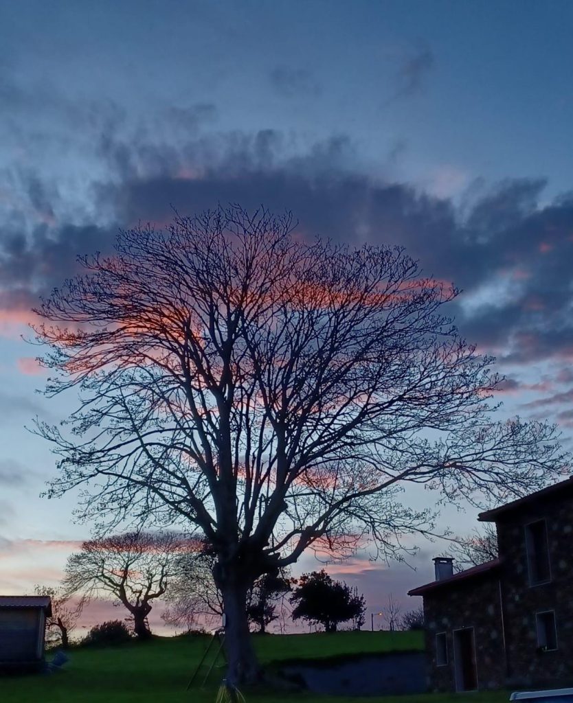 atardecer